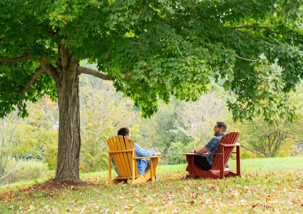 Two students sitting under a tree in chairs.